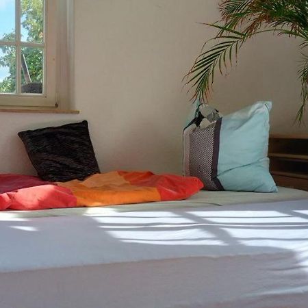 Forrest Apartments In Freiberg Min Stay 2 Nights Max Number Of Guest 1 Aprt 1 Zewnętrze zdjęcie