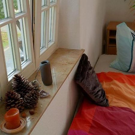 Forrest Apartments In Freiberg Min Stay 2 Nights Max Number Of Guest 1 Aprt 1 Zewnętrze zdjęcie