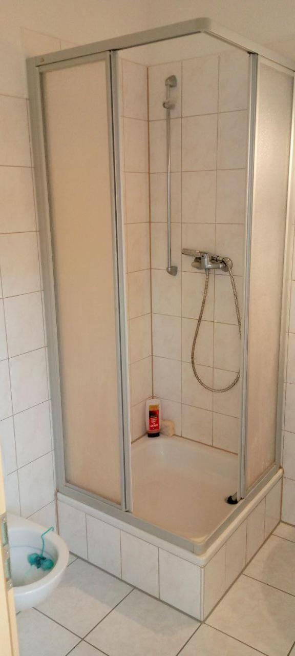 Forrest Apartments In Freiberg Min Stay 2 Nights Max Number Of Guest 1 Aprt 1 Zewnętrze zdjęcie