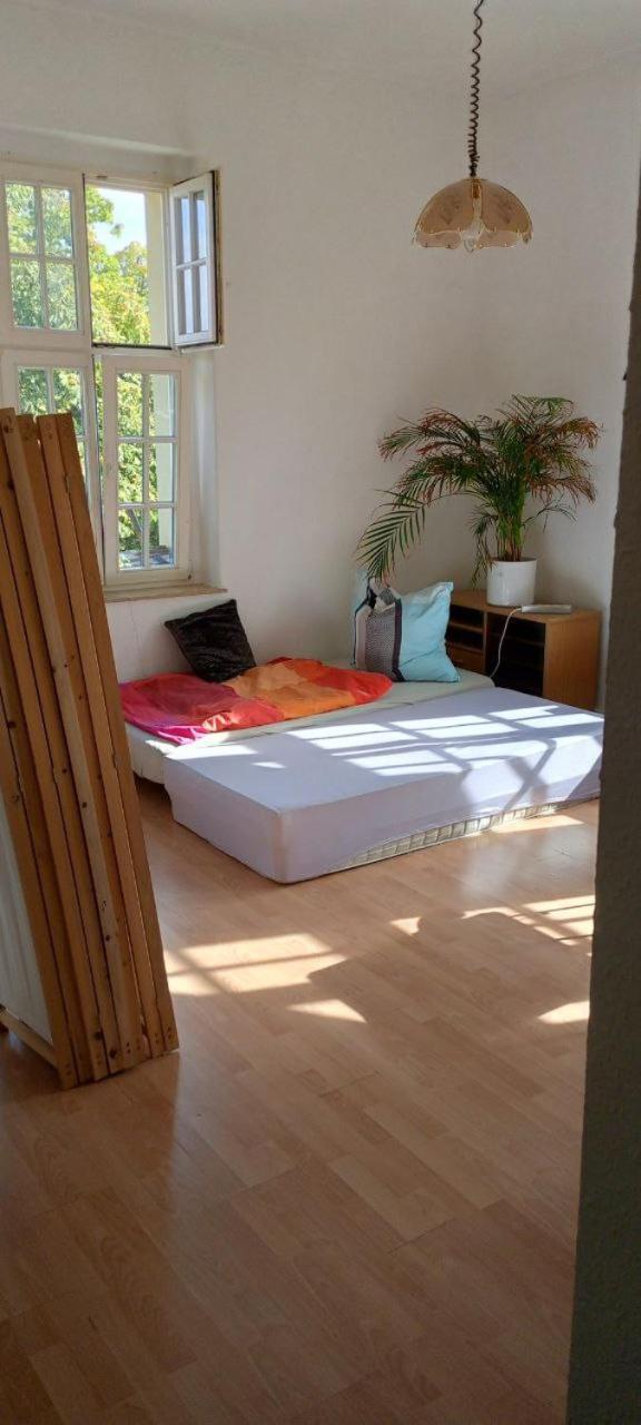 Forrest Apartments In Freiberg Min Stay 2 Nights Max Number Of Guest 1 Aprt 1 Zewnętrze zdjęcie