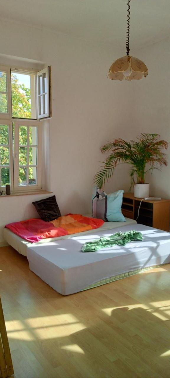 Forrest Apartments In Freiberg Min Stay 2 Nights Max Number Of Guest 1 Aprt 1 Zewnętrze zdjęcie