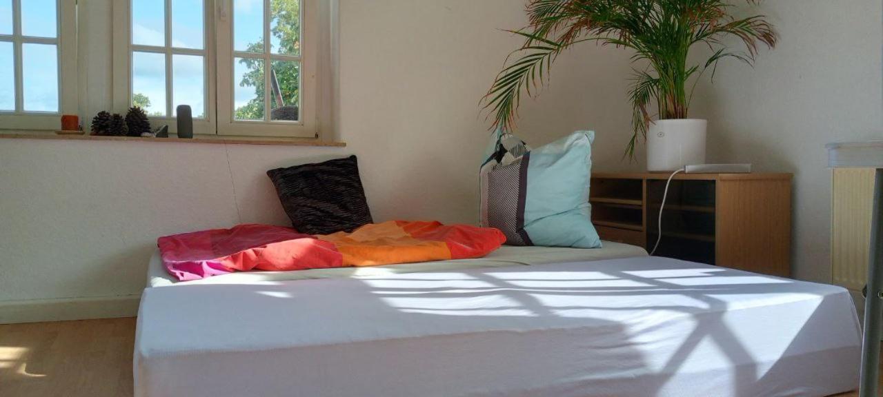 Forrest Apartments In Freiberg Min Stay 2 Nights Max Number Of Guest 1 Aprt 1 Zewnętrze zdjęcie