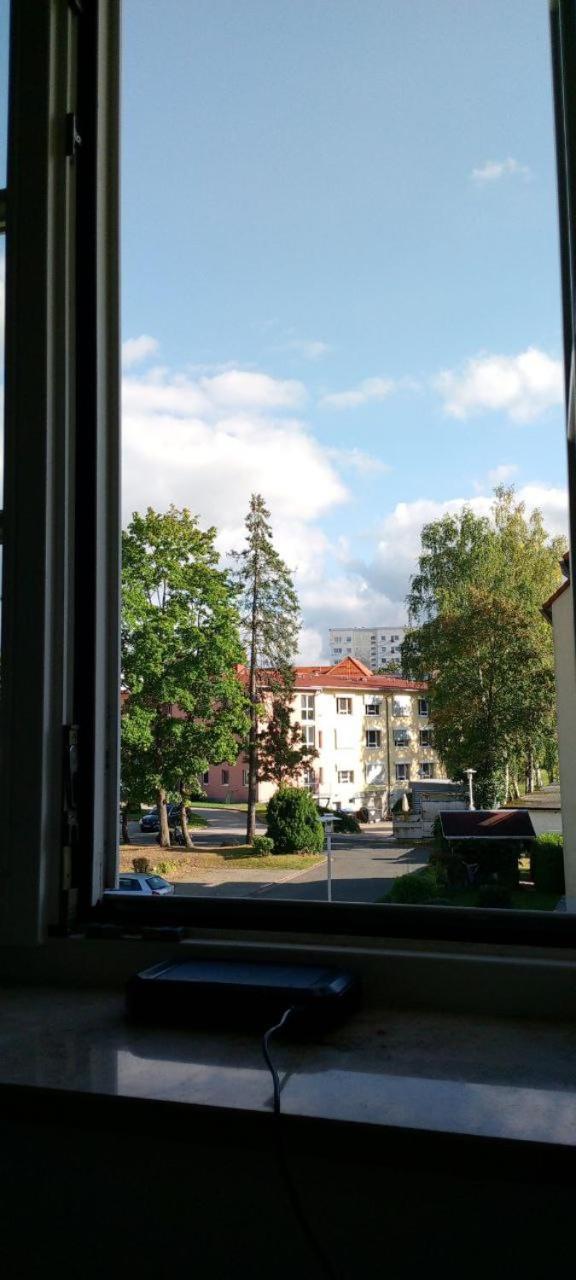 Forrest Apartments In Freiberg Min Stay 2 Nights Max Number Of Guest 1 Aprt 1 Zewnętrze zdjęcie